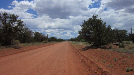 Undeveloped Land in Navajo County, Arizona
