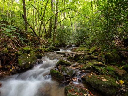 Undeveloped Land in Jackson County, North Carolina