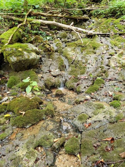 Farm and Ranch in Claiborne County, Tennessee