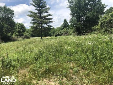 Land in Morgan County, Tennessee