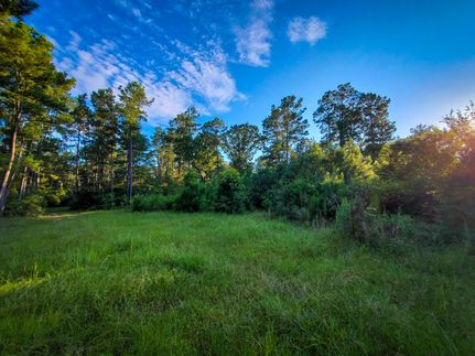 Recreational Property in Walker County, Texas