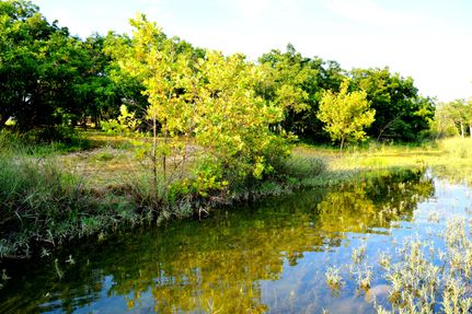 Undeveloped Land in Bandera County, Texas