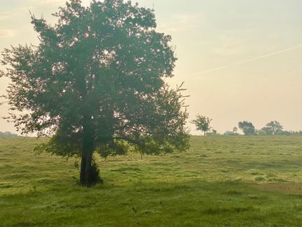 Land in Hopkins County, Texas