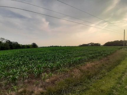 Recreational Property in Ralls County, Missouri