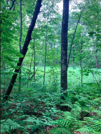 Farm and Ranch in Crow Wing County, Minnesota
