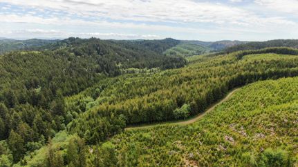 Riverfront Property in Grays Harbor County, Washington