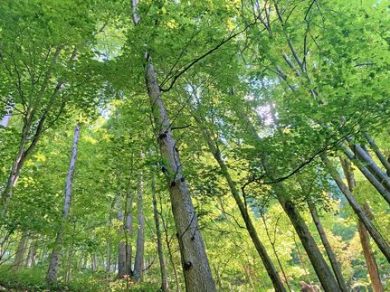 Recreational Property in Raleigh County, West Virginia