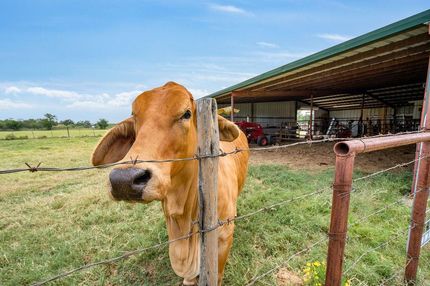 Hunting Property in McLennan County, Texas