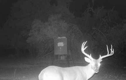 Farm and Ranch in Edwards County, Texas