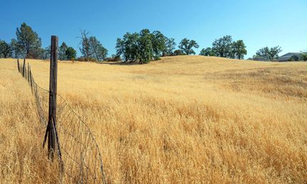 Land for sale in Tehama County, California