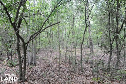 Homesite in Marlboro County, South Carolina