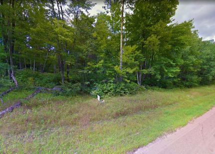 Undeveloped Land in Crow Wing County, Minnesota