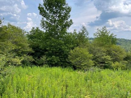 Undeveloped Land in Cortland County, New York