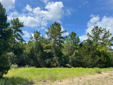 Undeveloped Land in Montgomery County, Texas