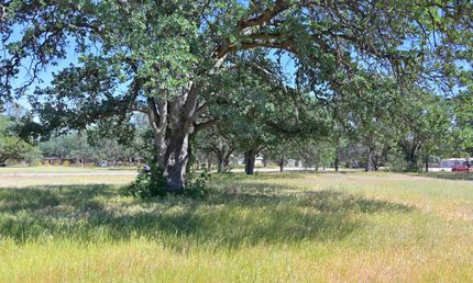 Timberland Property in Tehama County, California