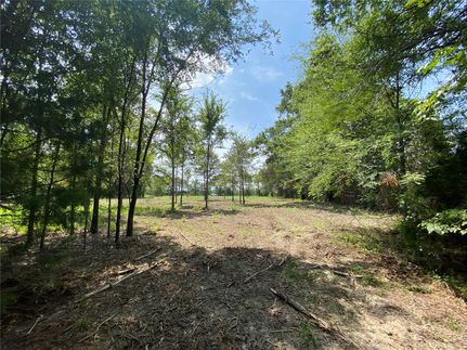 Undeveloped Land in Hopkins County, Texas