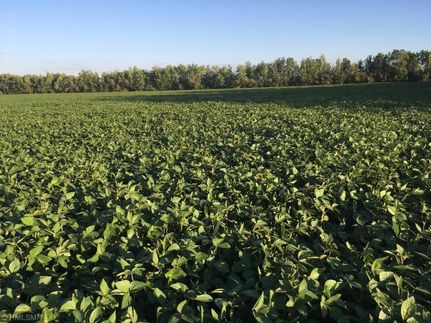 Commercial Property in Lake of the Woods County, Minnesota