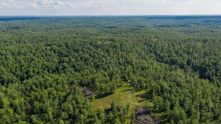 Undeveloped Land in Oregon County, Missouri