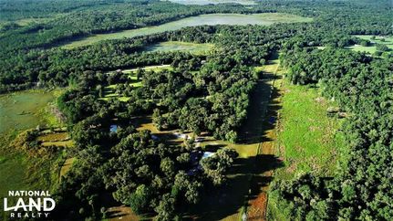 Timberland Property in Marion County, Florida