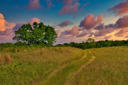 Undeveloped Land in Coal County, Oklahoma