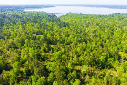 Waterfront Property in Trinity County, Texas