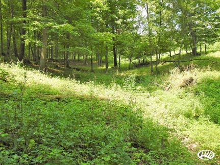 Undeveloped Land in Clayton County, Iowa