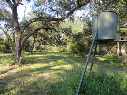 Farm and Ranch in Colorado County, Texas
