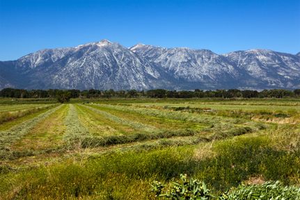Undeveloped Land in Douglas County, Nevada