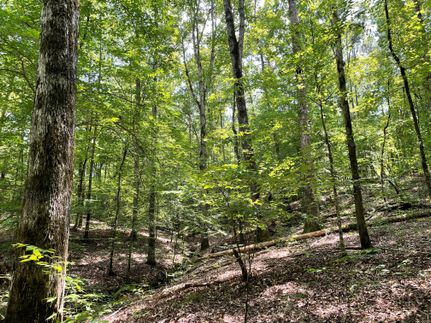 Recreational Property in Elbert County, Georgia