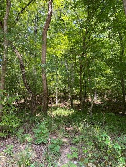 Farm and Ranch in Marion County, Tennessee