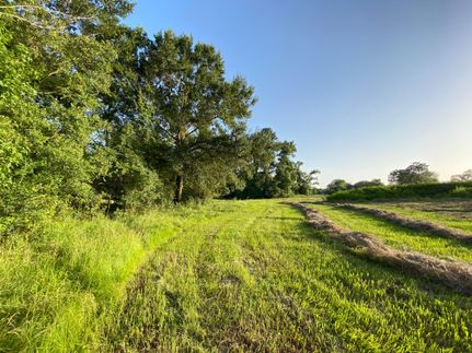 Land in Montgomery County, Texas