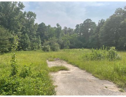 Timberland Property in Montgomery County, Texas