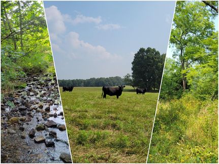 Farm and Ranch in Wright County, Missouri