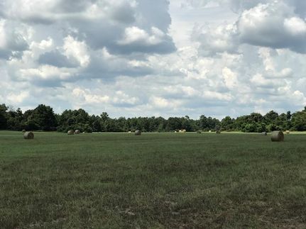 Undeveloped Land in Houston County, Texas
