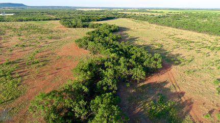 Undeveloped Land in Taylor County, Texas