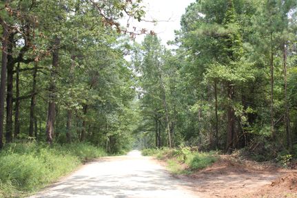 Hunting Property in Houston County, Texas