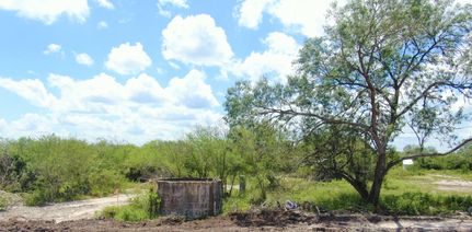 Undeveloped Land in Duval County, Texas