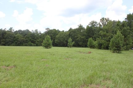 Undeveloped Land in Angelina County, Texas