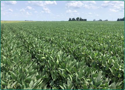Farm and Ranch in Cedar County, Iowa