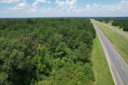 Undeveloped Land in Panola County, Texas