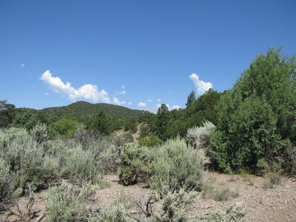 Undeveloped Land in Costilla County, Colorado