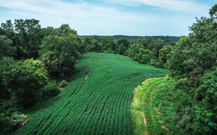 Undeveloped Land in Jersey County, Illinois