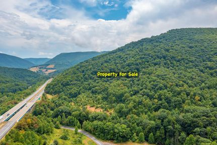 Undeveloped Land in Bland County, Virginia