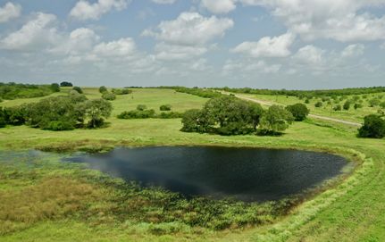 Hunting Property in Goliad County, Texas