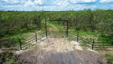 Undeveloped Land in Navarro County, Texas
