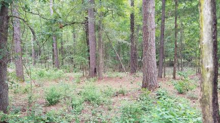 Farm and Ranch in Smith County, Texas