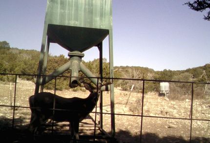 Recreational Property in Edwards County, Texas