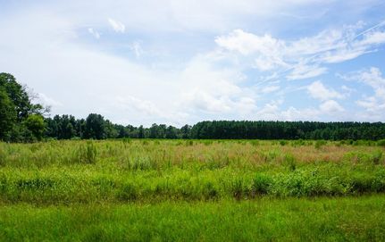House in Marion County, South Carolina