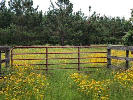 Farm and Ranch in Leon County, Texas