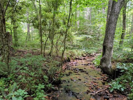 Undeveloped Land in Floyd County, Virginia
